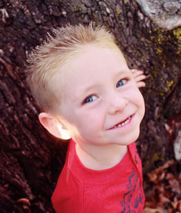 Science Laboratory 绿色无污染的网站ddos